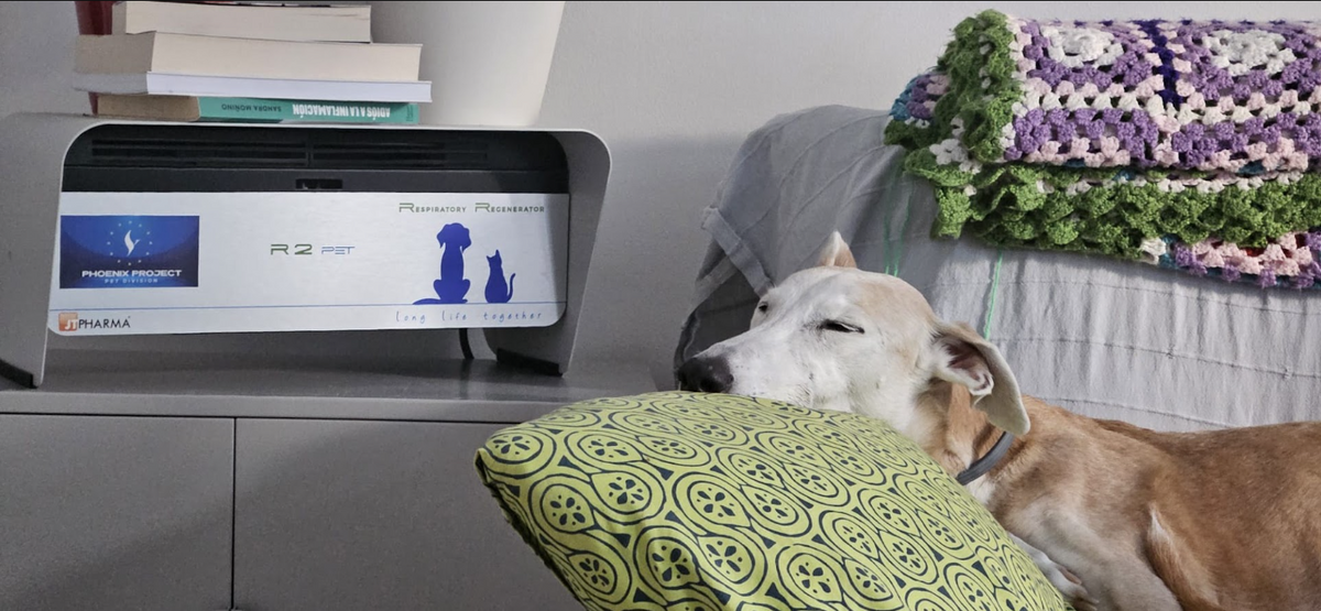R2PET